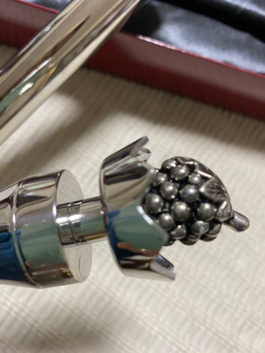 【未使用】Wine Sceptre ワインクーラー〈ボトル挿入式〉