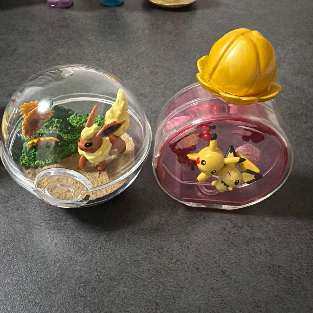 ポケモン テラリウムコレクション いろいろ