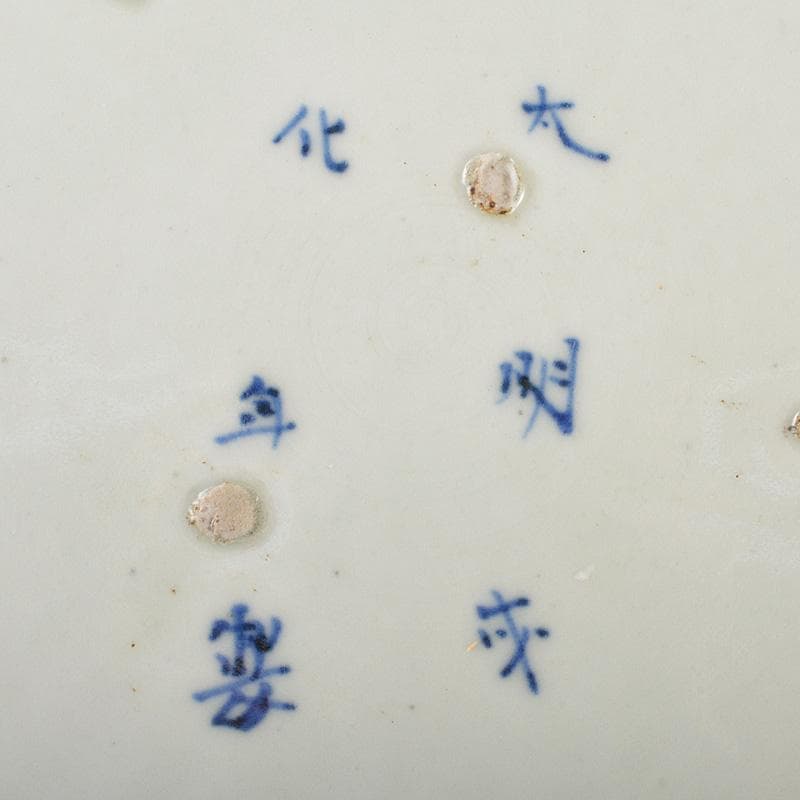 伊万里焼　古伊万里　大明成化年製銘　染付　花文　輪花皿　大皿　C　R7324F