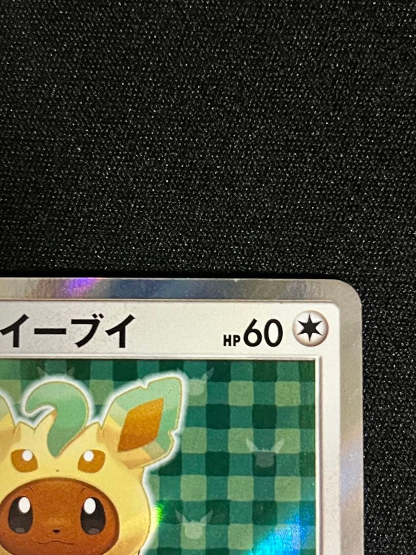 ポンチョを着たイーブイ リーフィア