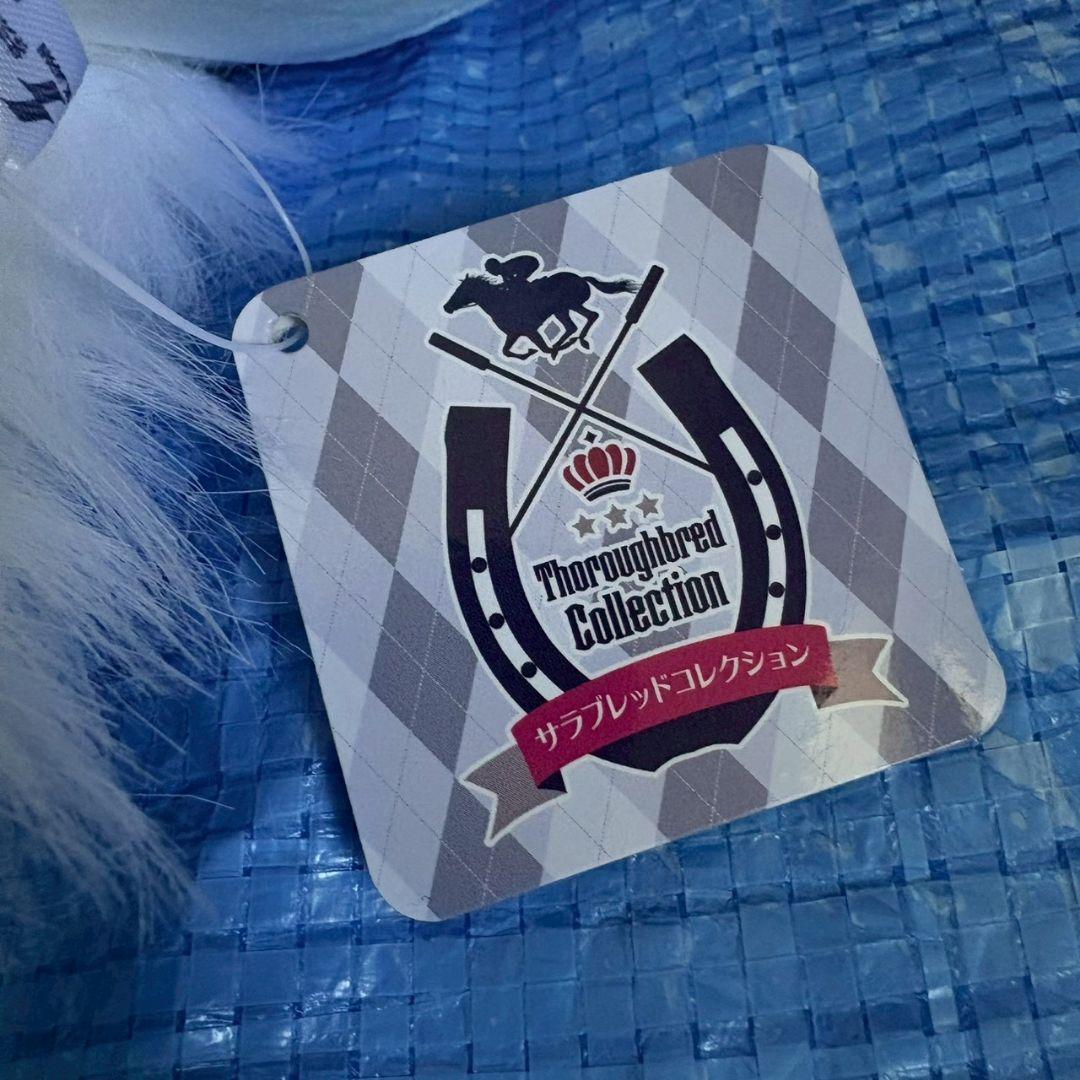 サラブレッドコレクション ソダシ