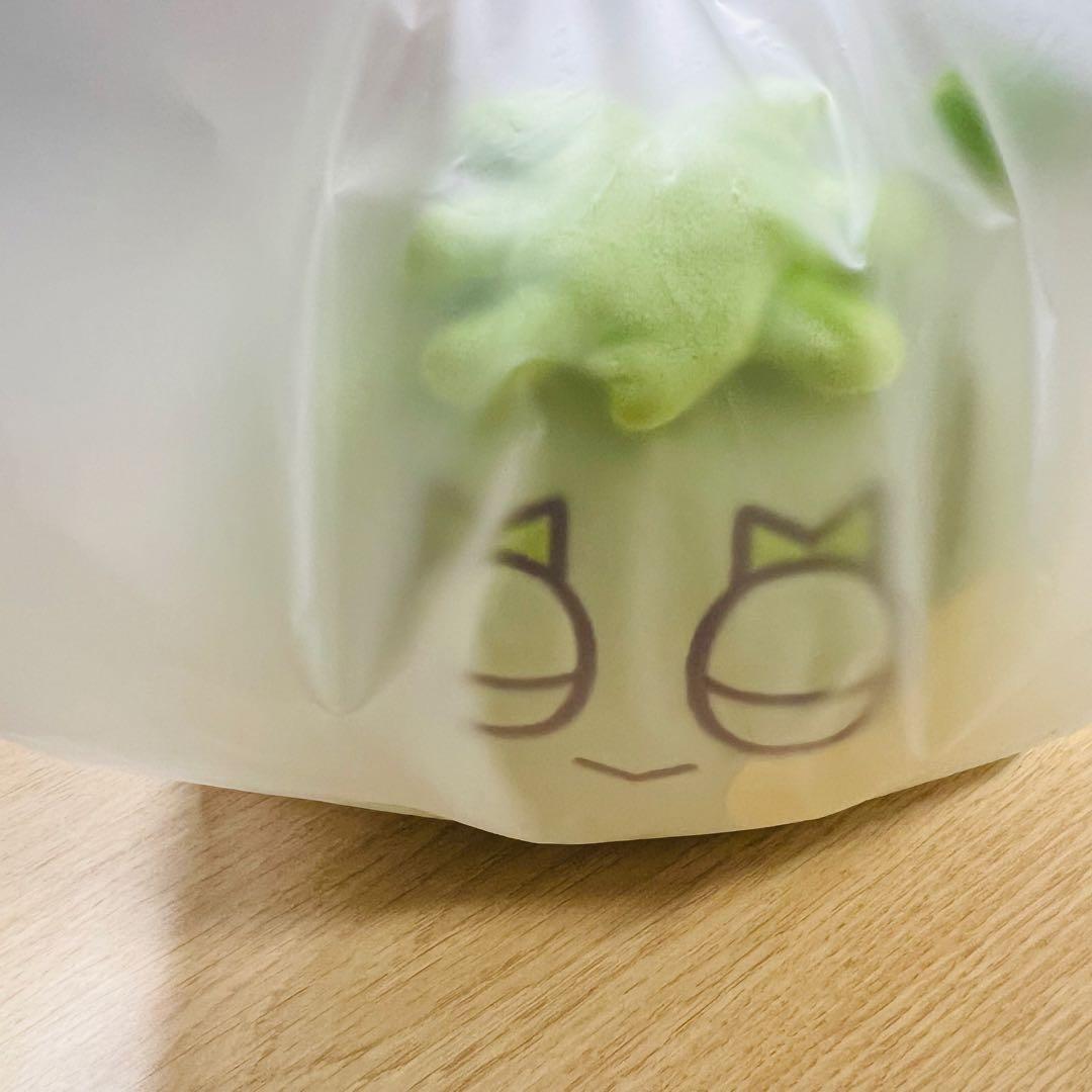 BOYNEXTDOOR BBNEXDO ボネクドPOPUP クッション イハン