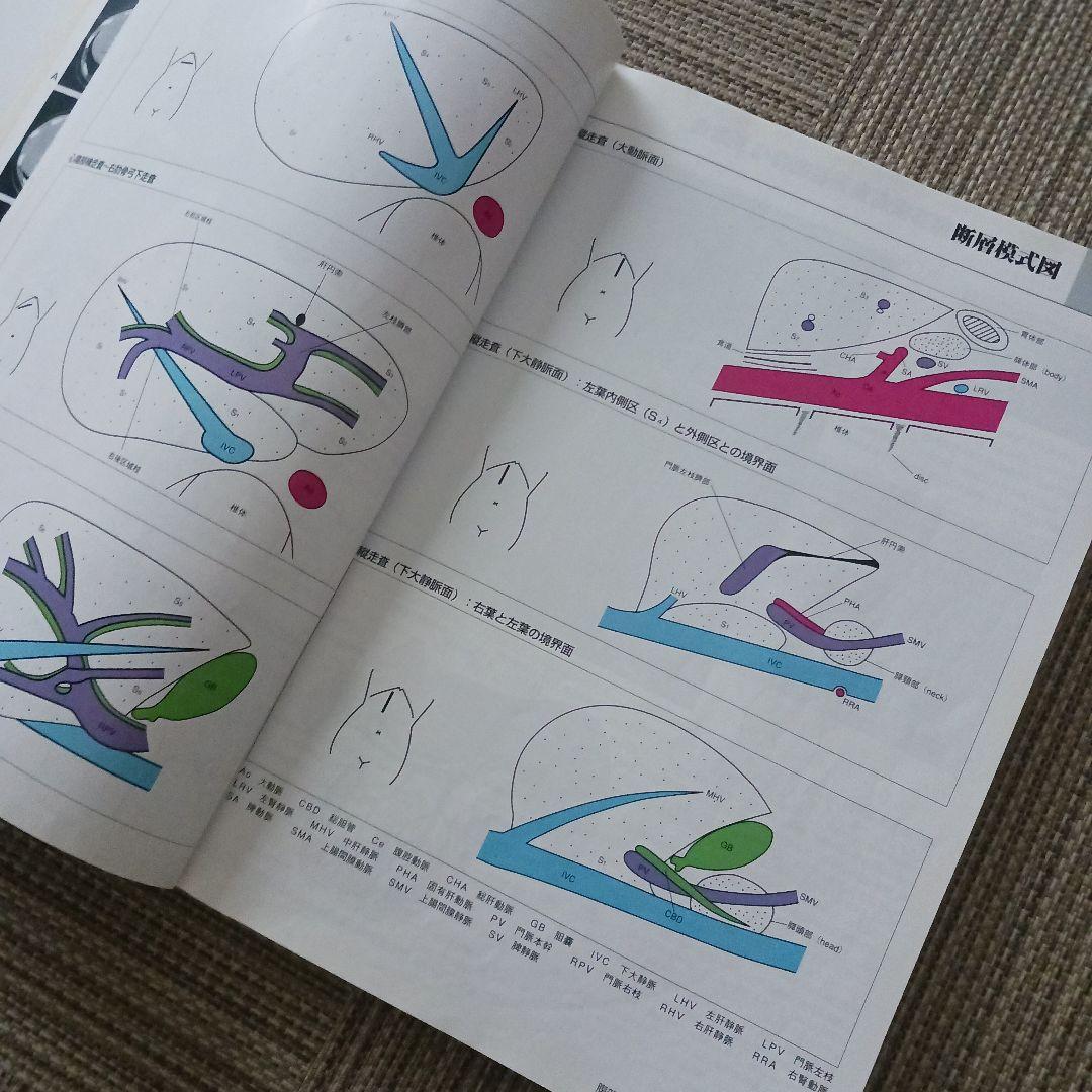 腹部超音波テキスト : 上・下腹部　腹部エコー　参考書　ベクトル・コア