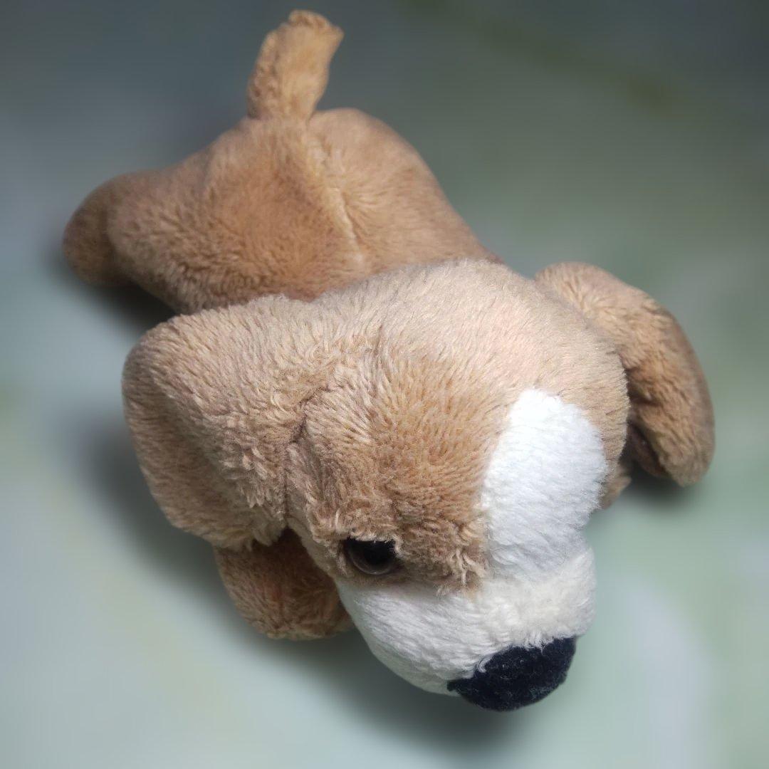 ぬいぐるみセット 多様な動物 16点