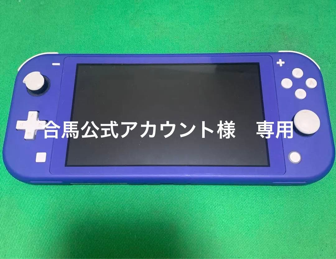 Nintendo Switch Lite 青 充電器込み