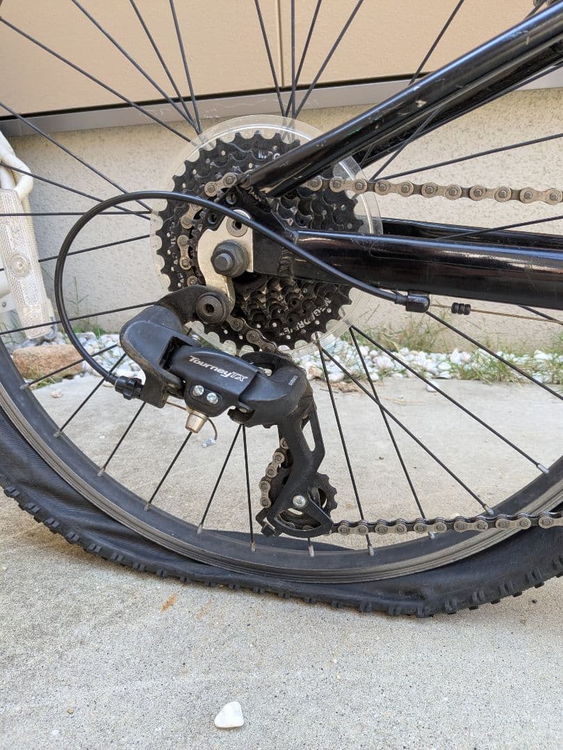 自転車本体 TREK Precaliber 24 8-speed