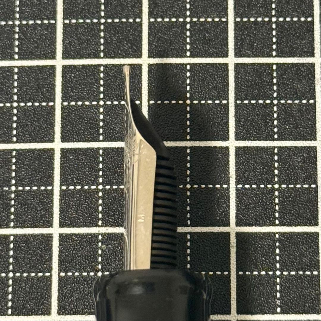 デルタ 万年筆 少数民族シリーズ2004 マオリ 1K M