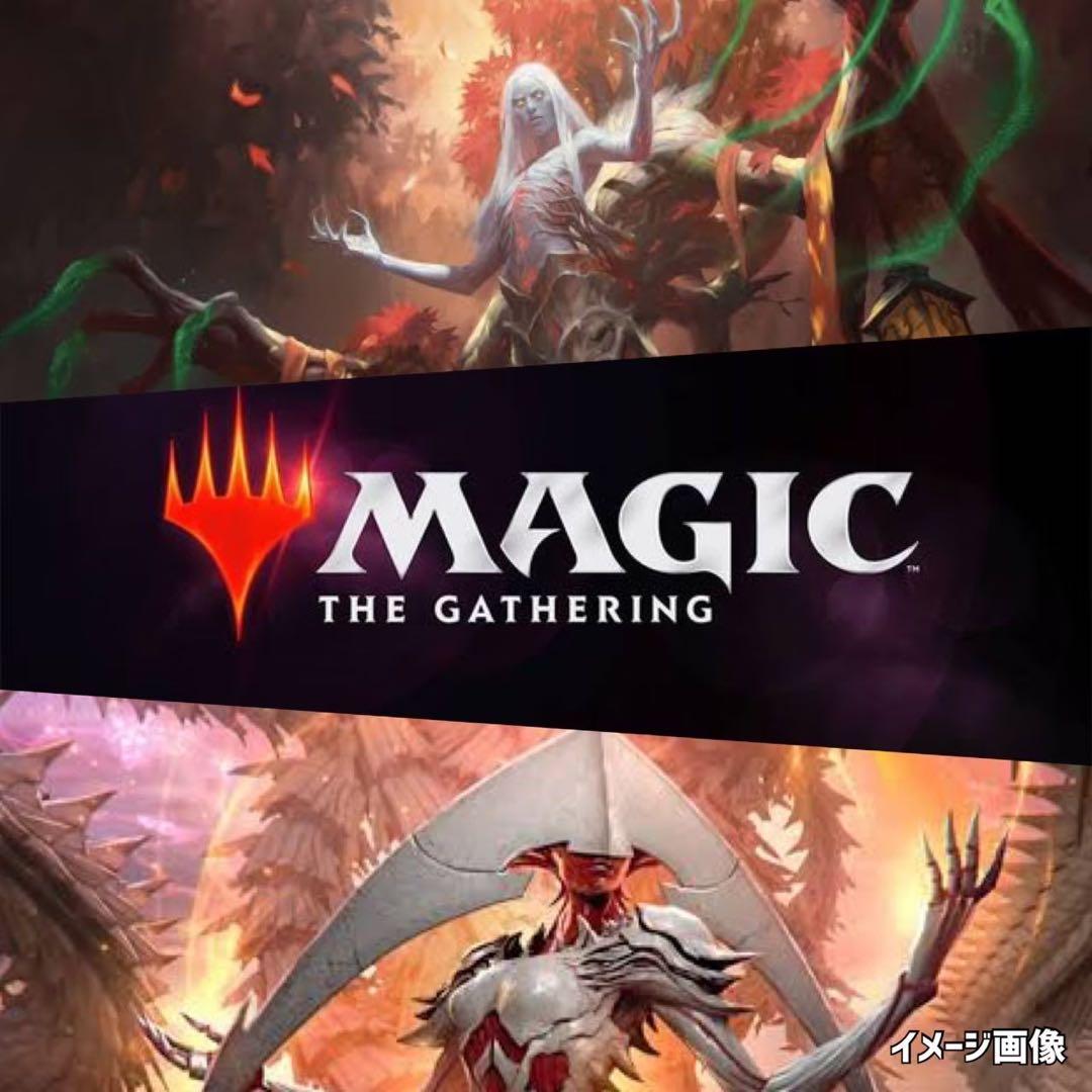 MTG未開封フォーゴトン・レルム探訪BOX廃盤絶版1BOX