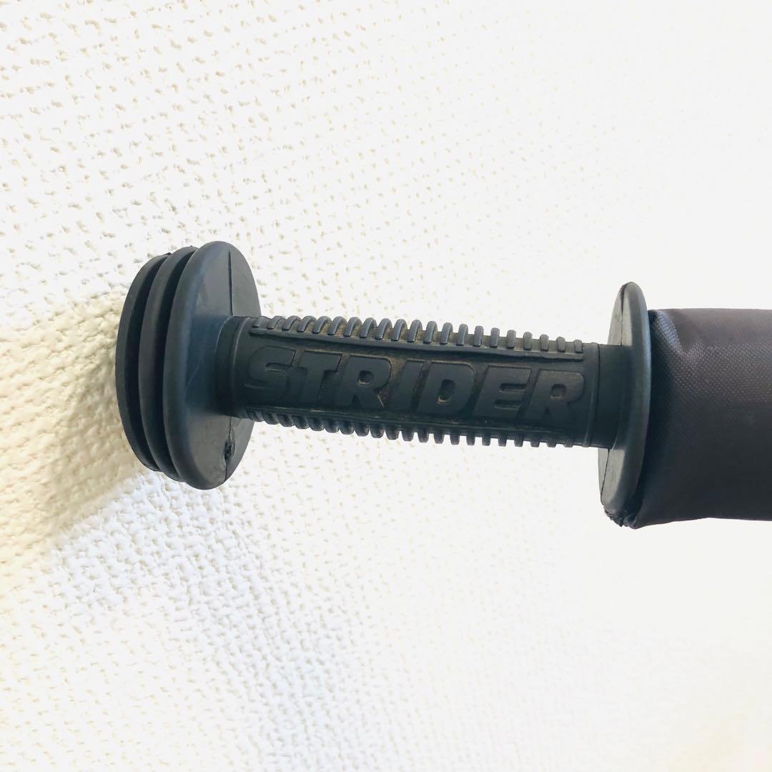 STRIDER Pro ストライダー　プロ　12インチ　メタリックアクア