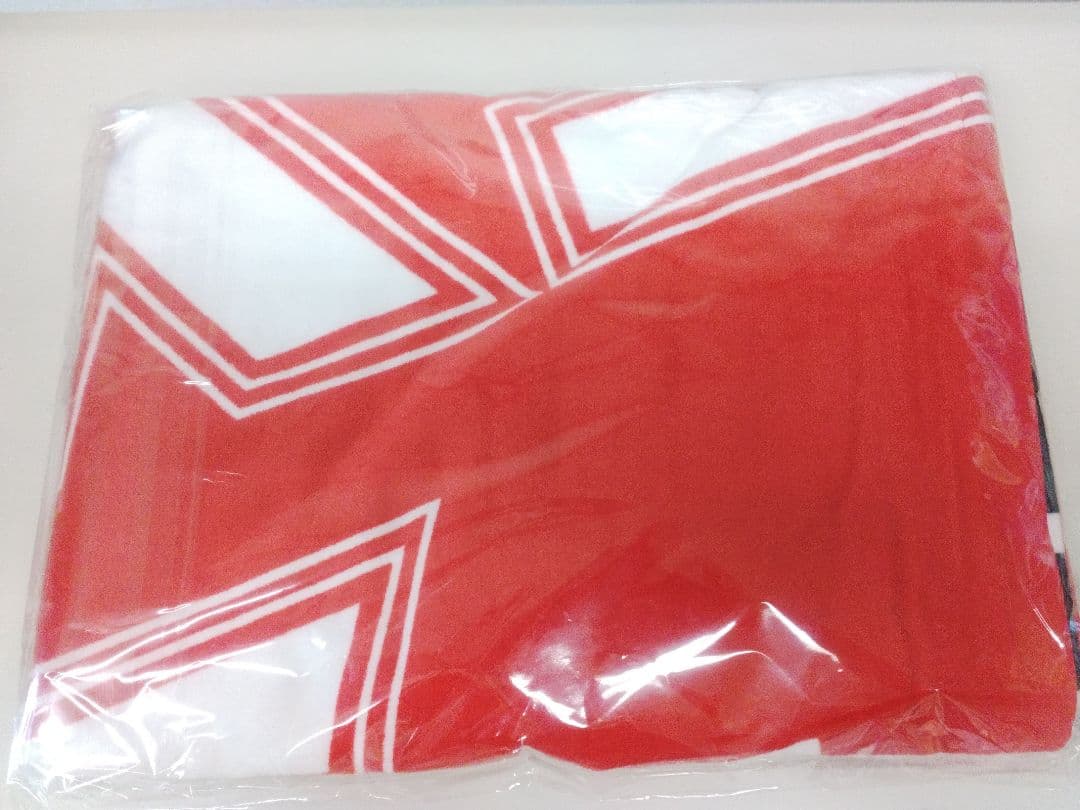 矢沢永吉 DO IT YAZAWA 2025 11 9東京ドーム PSS席特典