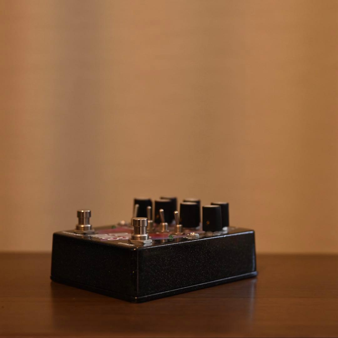 ギター Adventure Audio Outer Rings