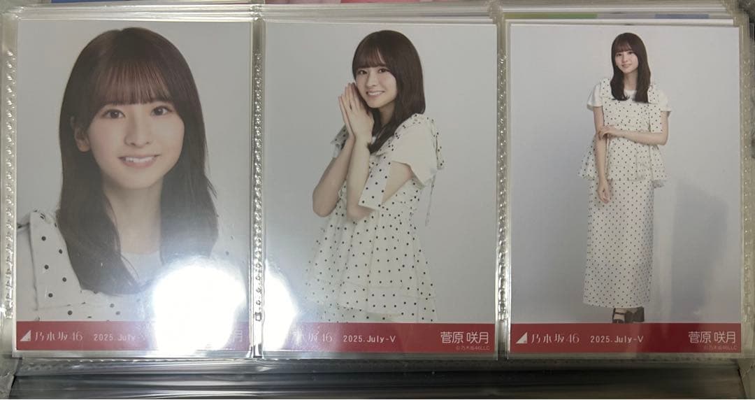 乃木坂46 菅原咲月 2025年月間ランダム 生写真 コンプ 19種 まとめ売り