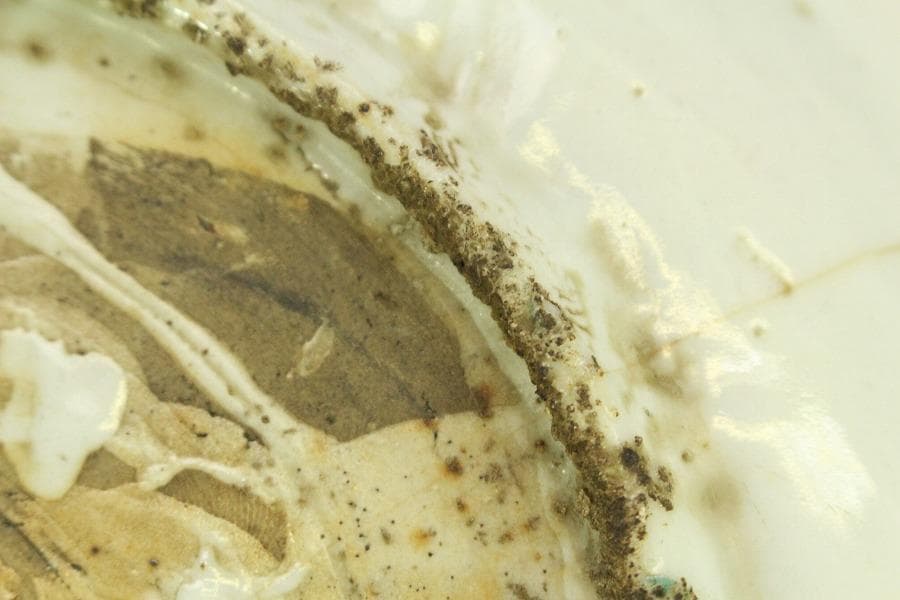 茶道具 唐物 呉須赤絵 鳳花紋 皿 φ25.5cm 中国美術(A928)