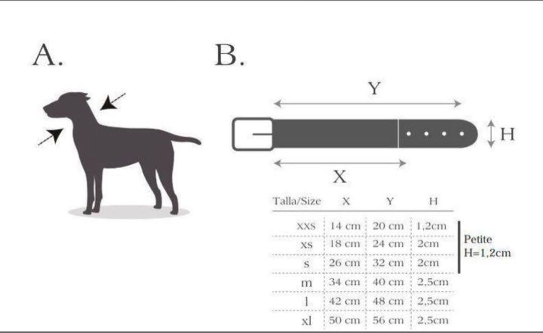 スペイン製 高級犬用リードと首輪セットBaseballGrey (小型・中型犬)
