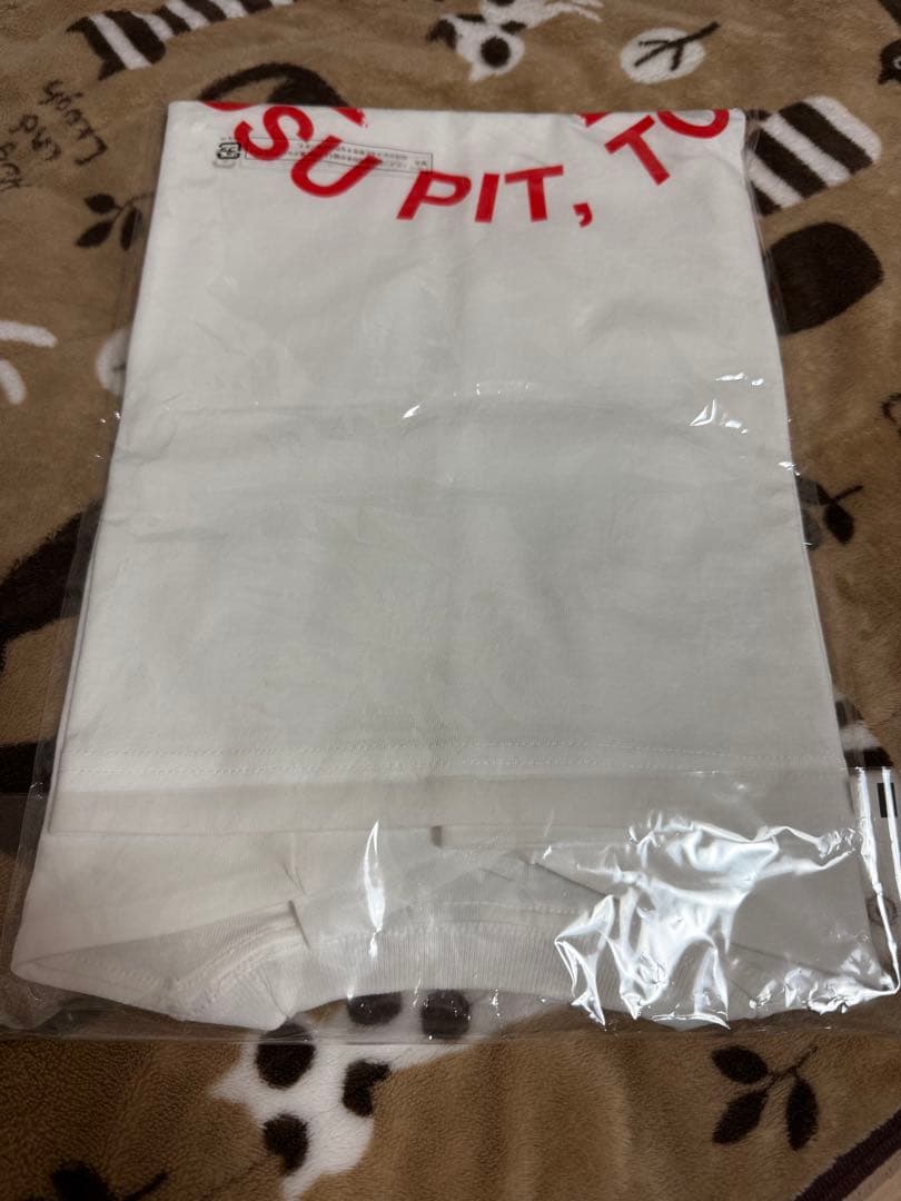 DIZZY MIZZ LIZZY ツアーTシャツ