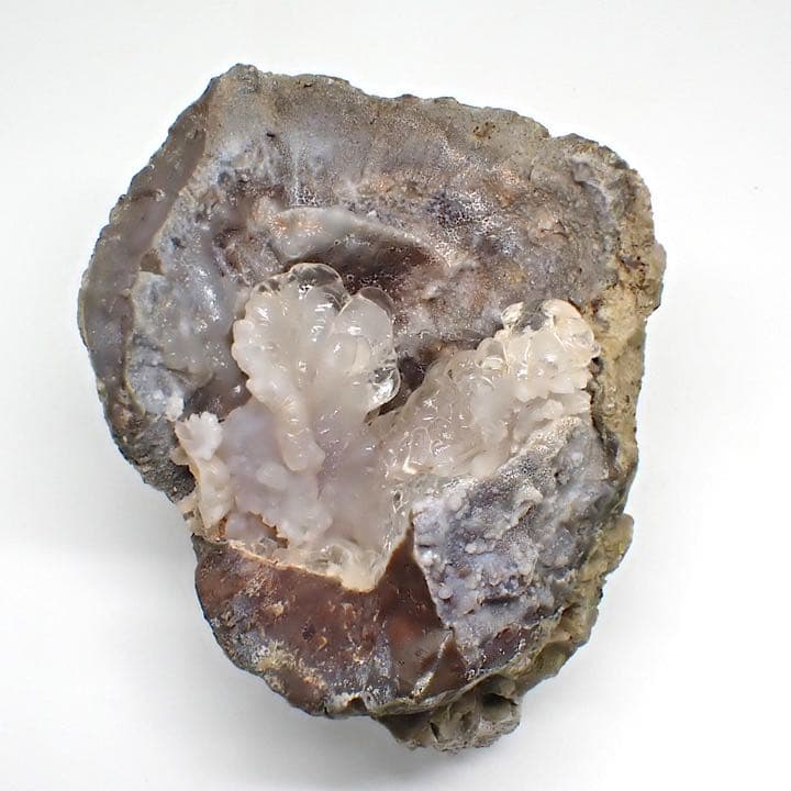 【メキシコ/サンフェリップ産】ハイアライトオパール原石