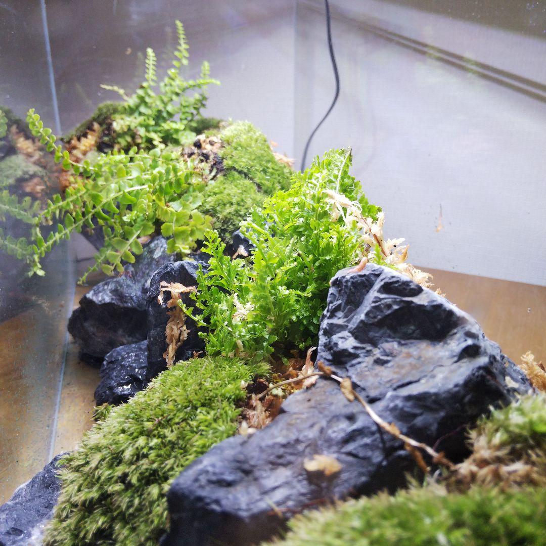 もじのすけページ