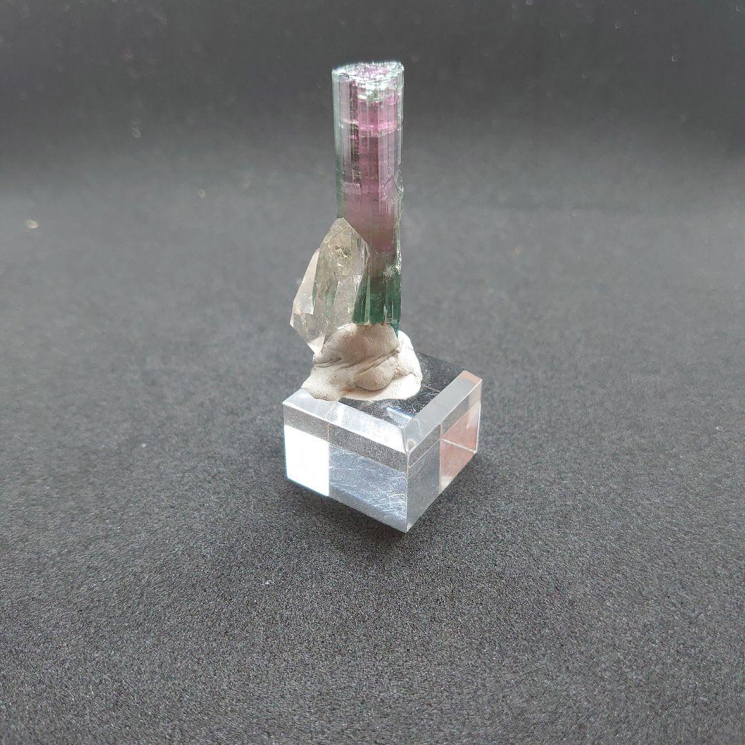 トルマリンと水晶の共生標本