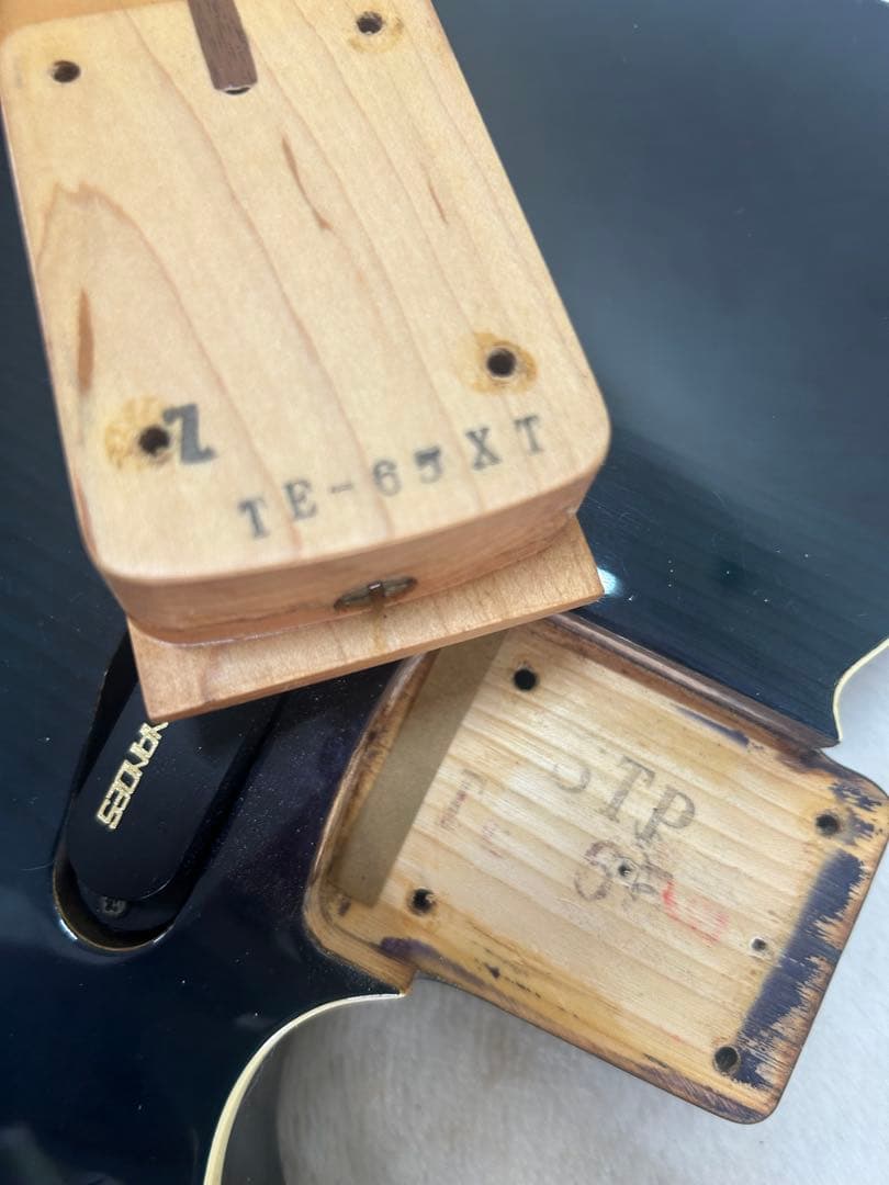 a*子様 【レア】フェルナンデス　TE-65XT カタログ外モデル