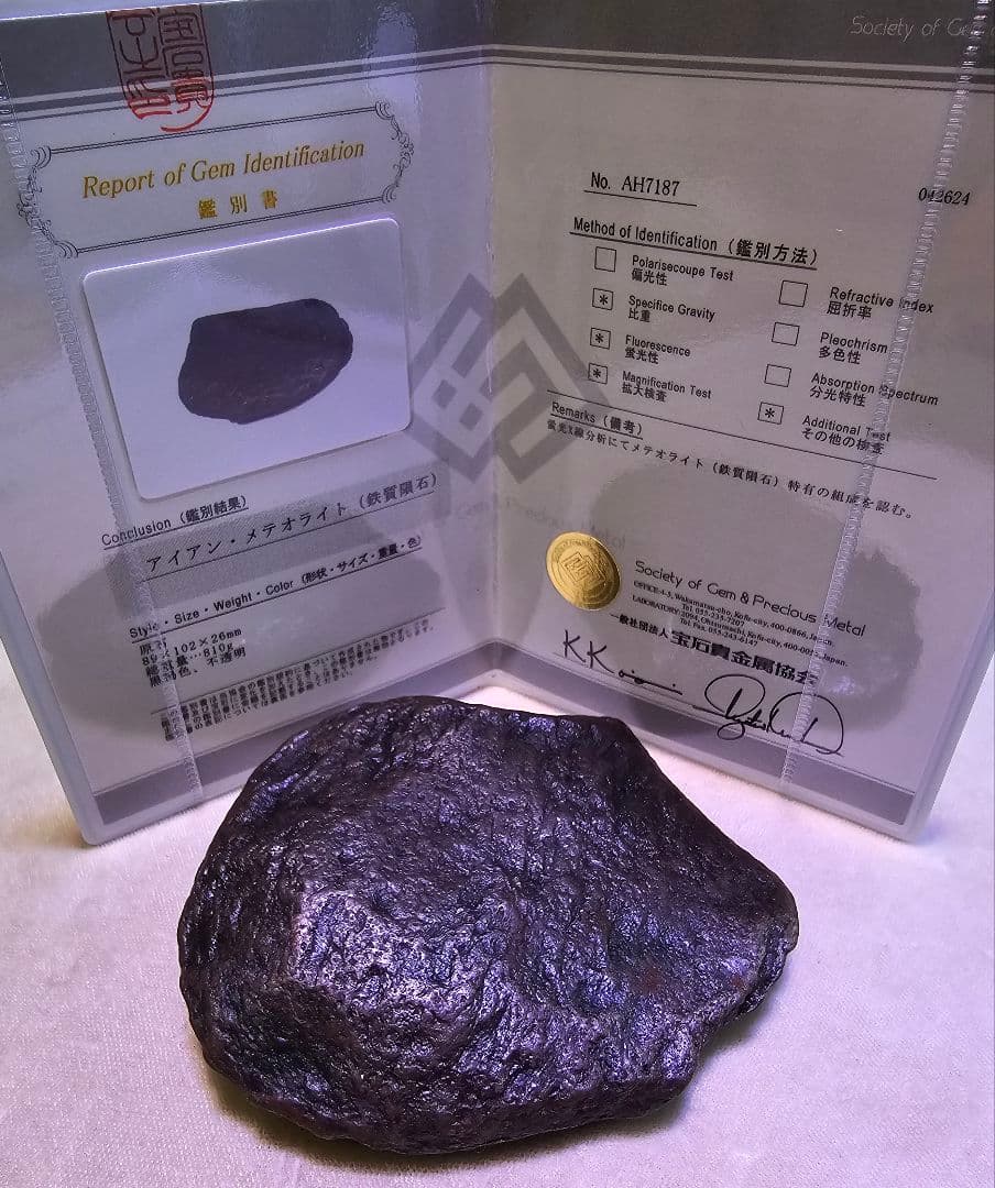 ⑧　隕石　メテオライト　カンポデルシエロ