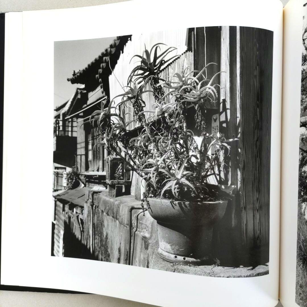 ひと夏【ファザーファッカー 】The Phtography 橋口謙二 写真集