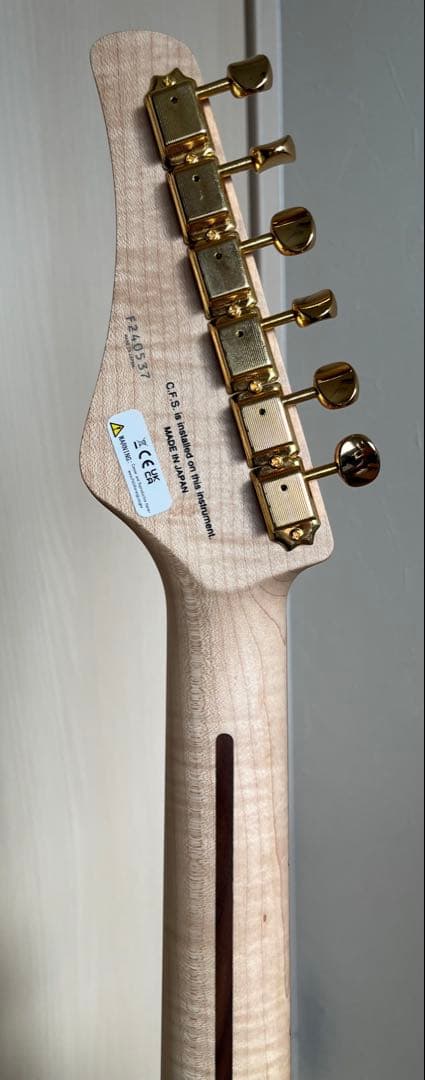 トラ目ネック FUJIGEN(FGN) Expert ODYSSEY EOS2