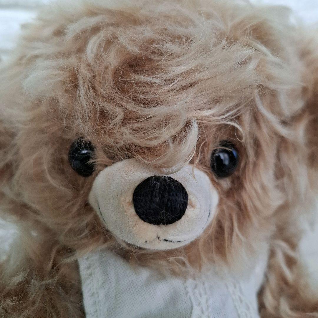 メリーソートテディベア　チーキー