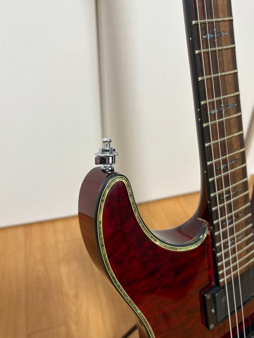 【aさん専用】SCHECTER HELLRAISER シェクター ヘルレイザー