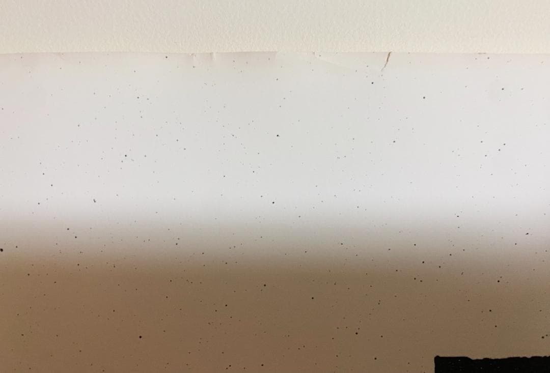 名作！仲條正義 2002年作『仲條のフジのヤマイ』ポスター