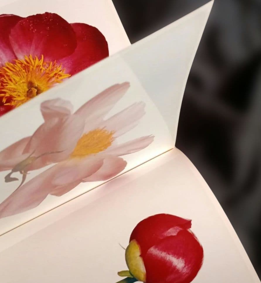 FLOWERS Irving Penn　初版 海外ライブラリー蔵書印等の難あり