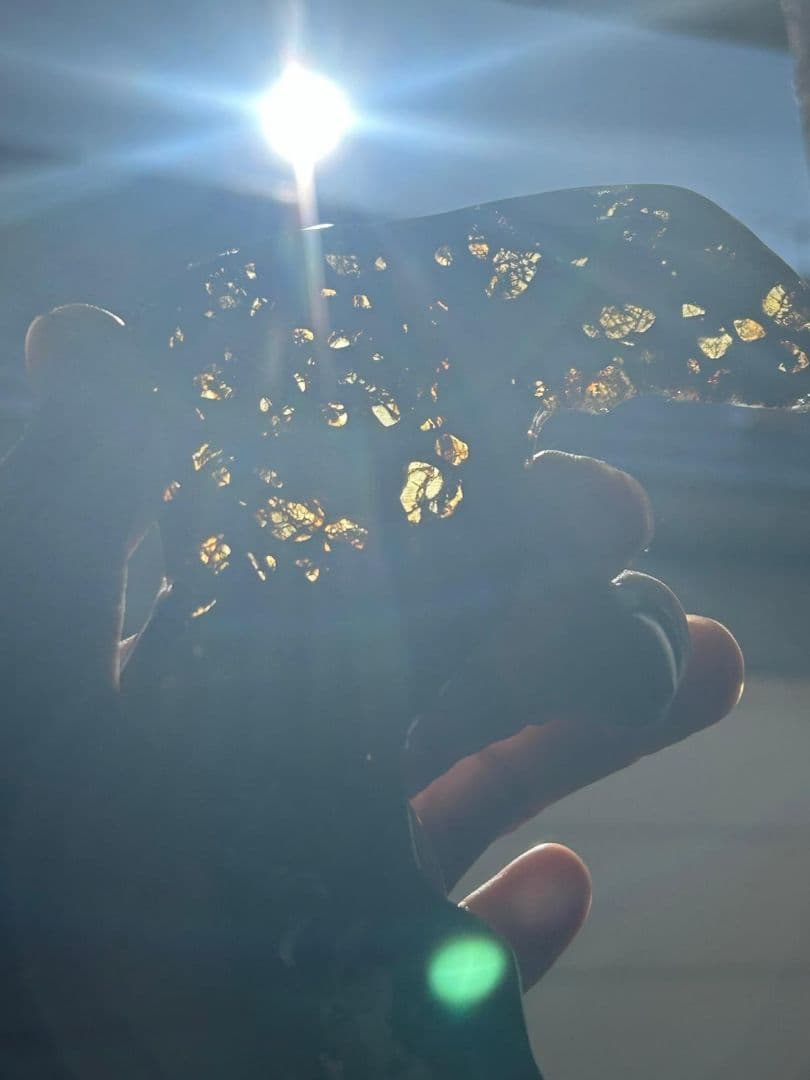 セイムチャン・パラサイト隕石119.00gロシア産クレッシェンド型