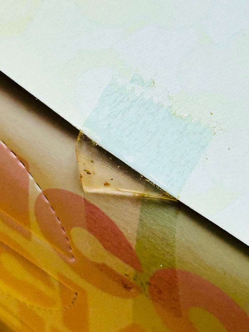 【未開封】　そに子 生活密着　取材　スペシャル　フィギュア お風呂ぴかぴかタイム