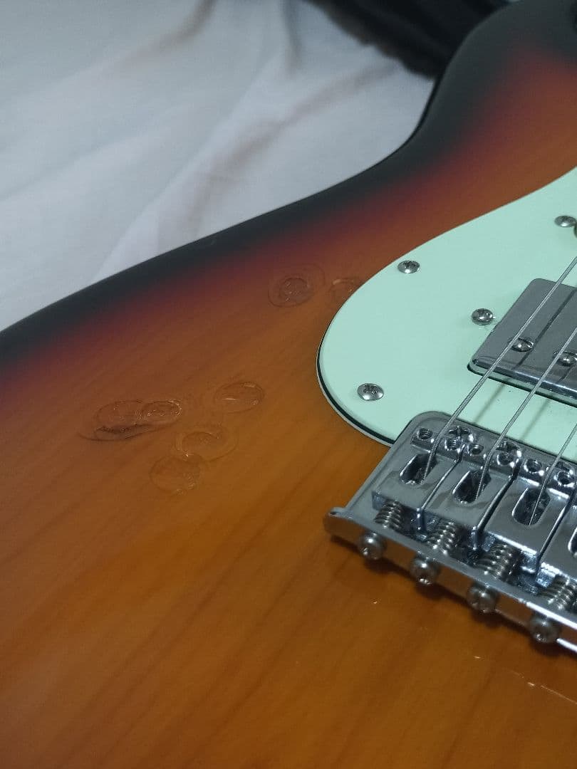 Bacchus バッカス ストラトキャスター サンバースト ケース 初心者最適