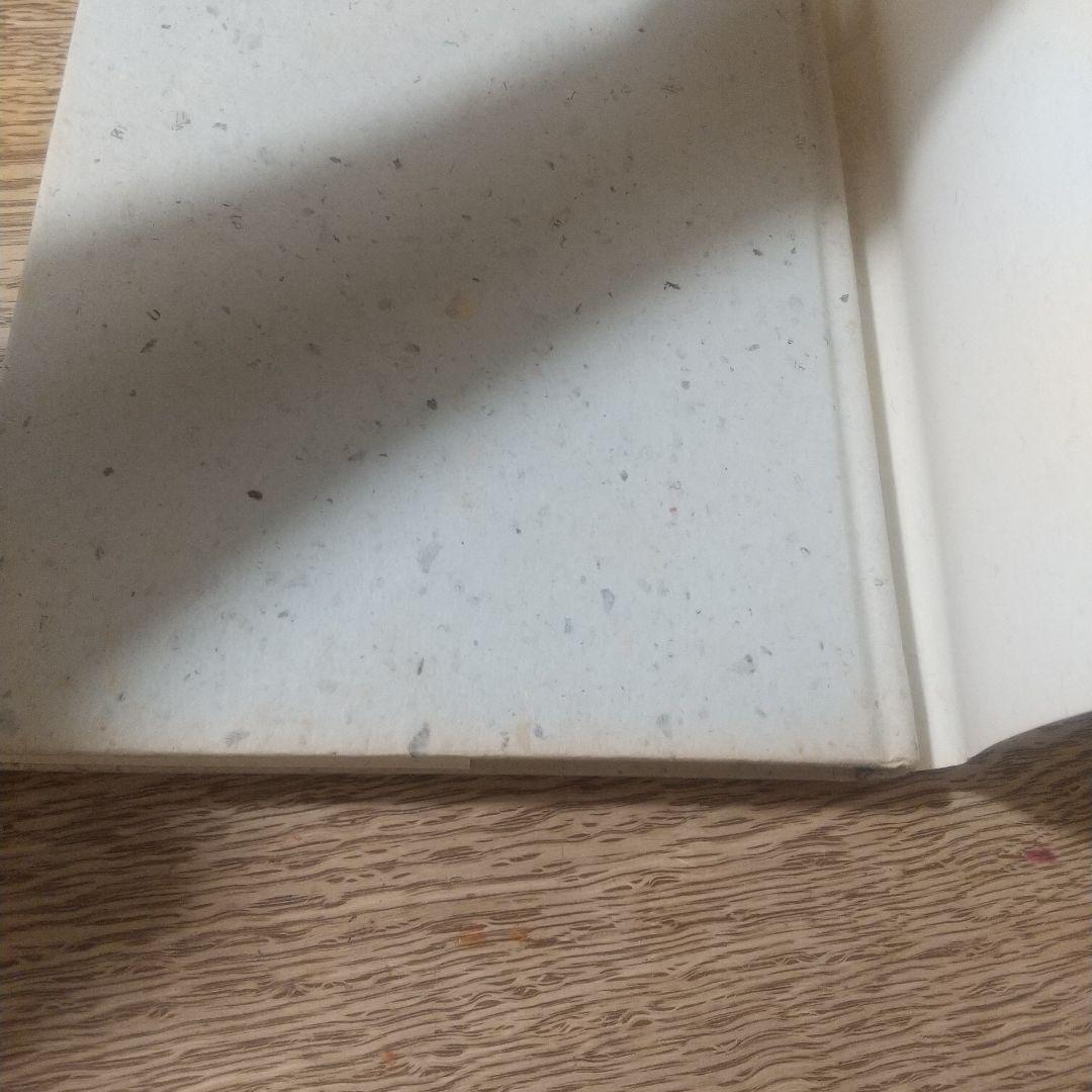 昼と夜 ジョルジュ・ブラックの手帖