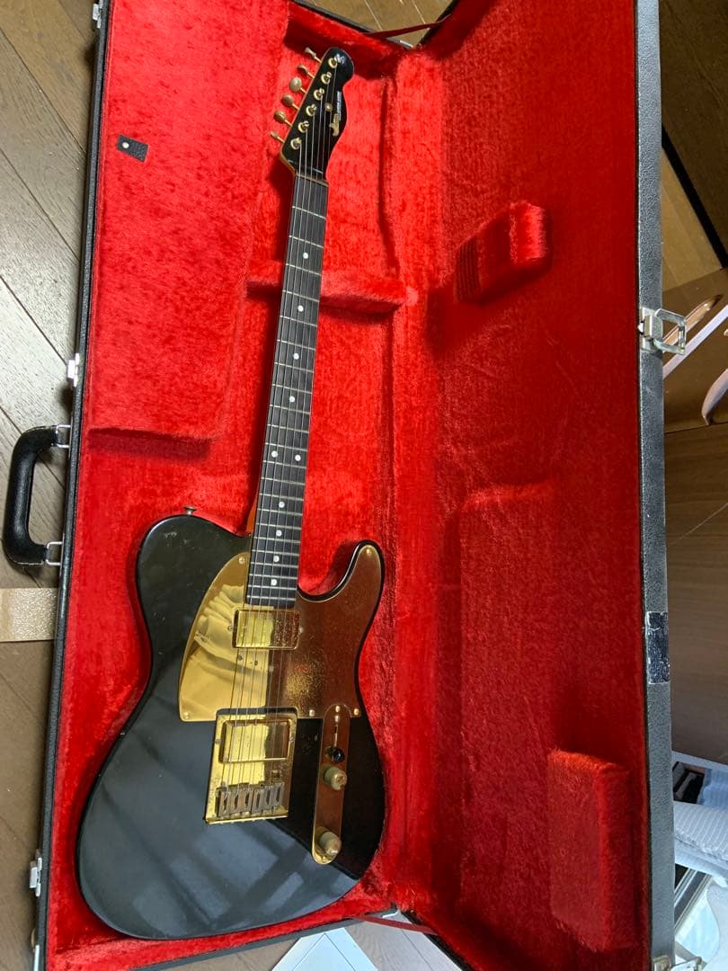 MOON PGM テレキャスター カスタムコンポーネント製 エレキギター