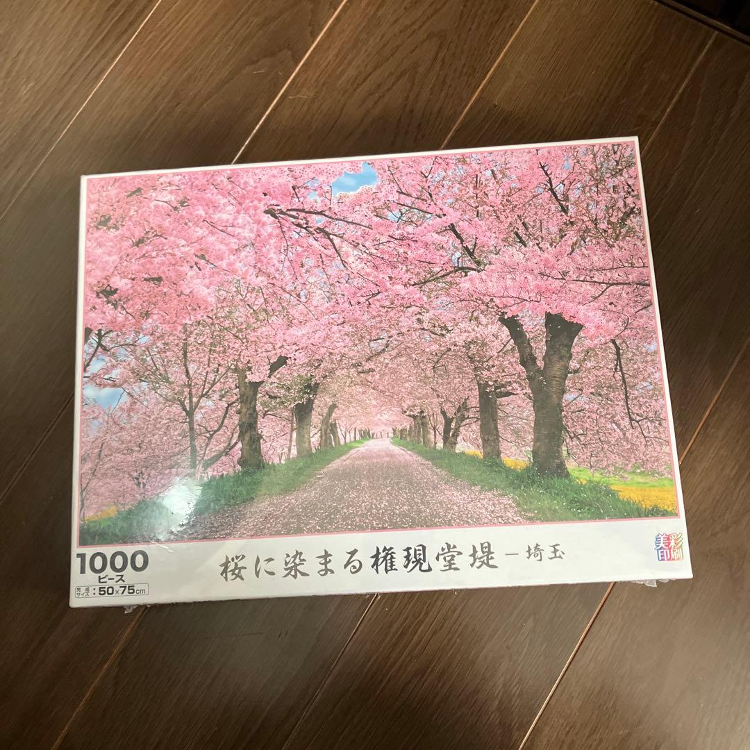 世界の絶景　日本の風景　ジグソーパズル　ピース多め　500〜2542p 9個