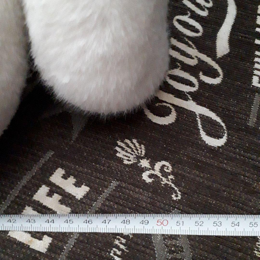 ナシノ、犬のぬいぐるみ