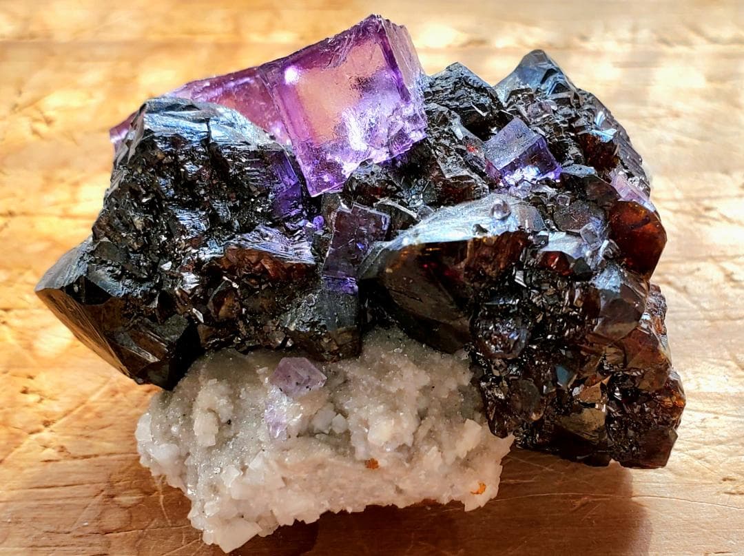 【コレクターズアイテム】エルムウッドフローライト