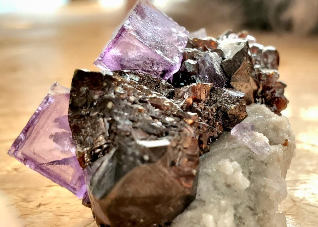 【コレクターズアイテム】エルムウッドフローライト