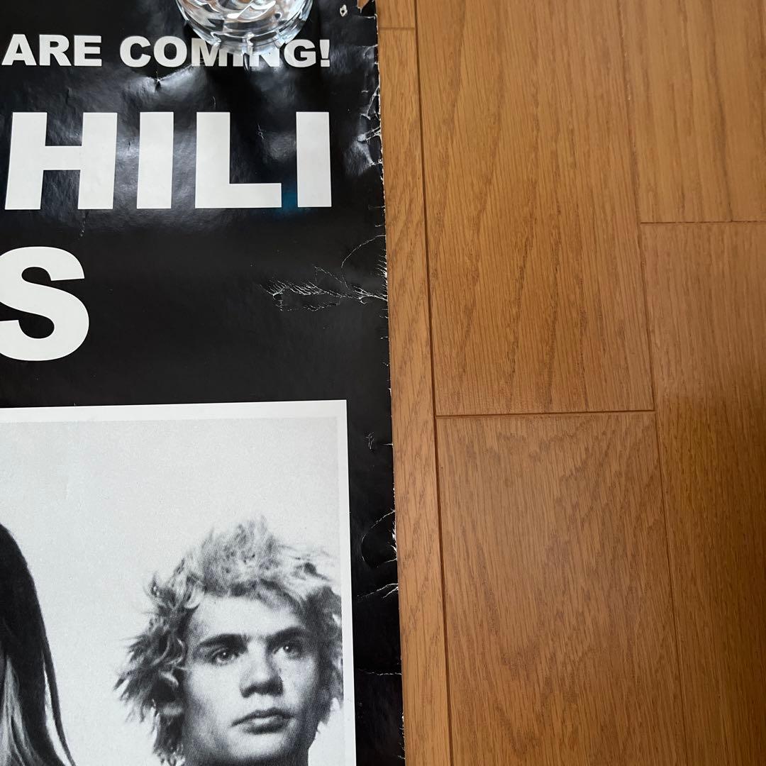 RED HOT CHILI PEPPERS ポスター　　レッチリポスター