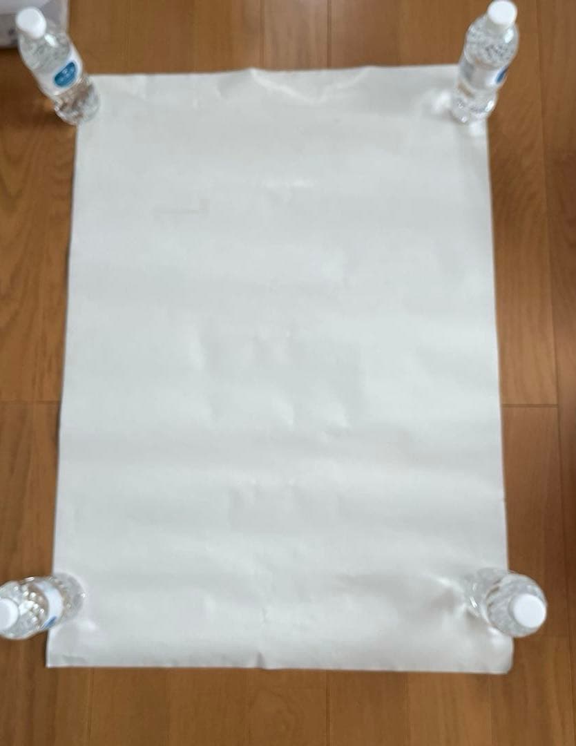 RED HOT CHILI PEPPERS ポスター　　レッチリポスター