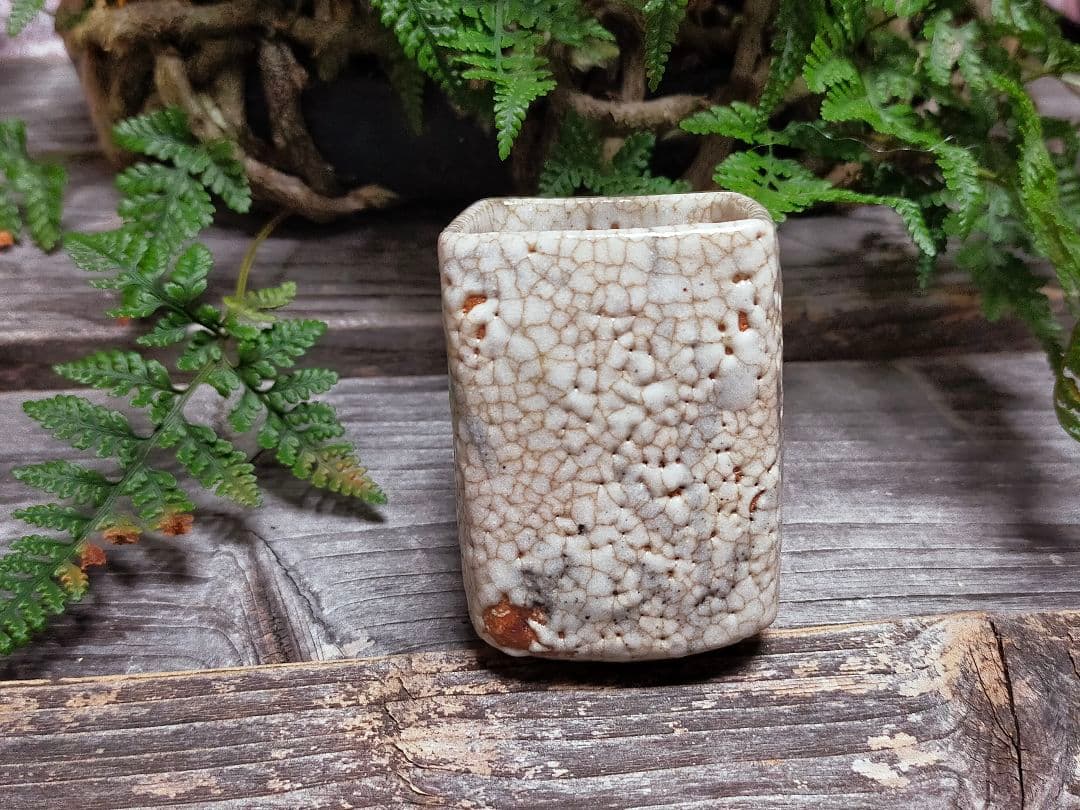 ♥絵志野　ぐい呑み　桐箱付き　㉔　志野　ぐい飲み　骨董品