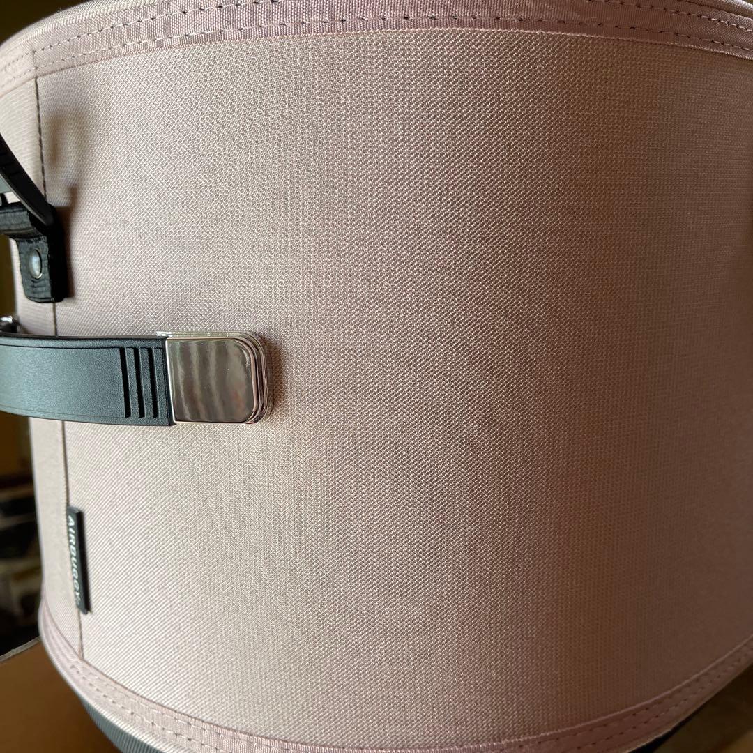 専用ご確認　AIRBUGGY ドーム3ラージ　ブロッサム　セット販売