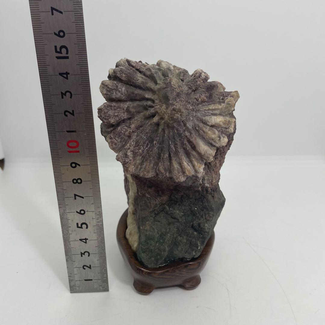 菊花石 置物 専用台付き 1,120ℊ