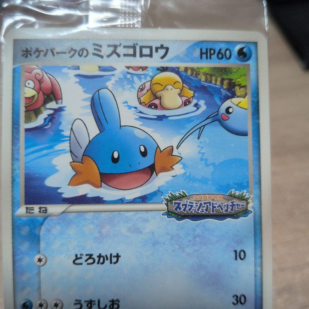 ポケパークのミズゴロウ