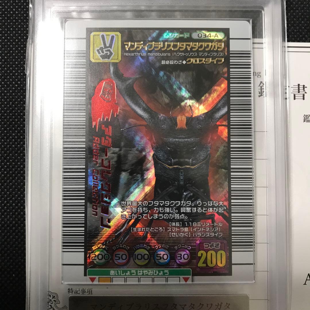 マンディブラリスフタマタクワガタ　アダー　2005　ARS10 PSA10相当