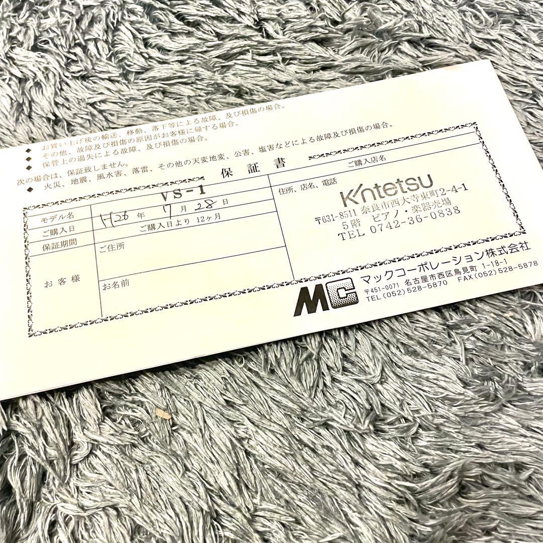 カルロジョルダーノ バイオリン VS-1 1/10 ケース付き