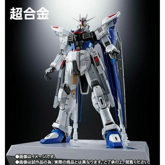 超合金 ROBOT魂 フリーダムVer.GCP　RG MSN-04FF サザビー