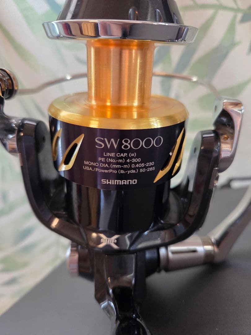 シマノ ステラSW8000 HG リール