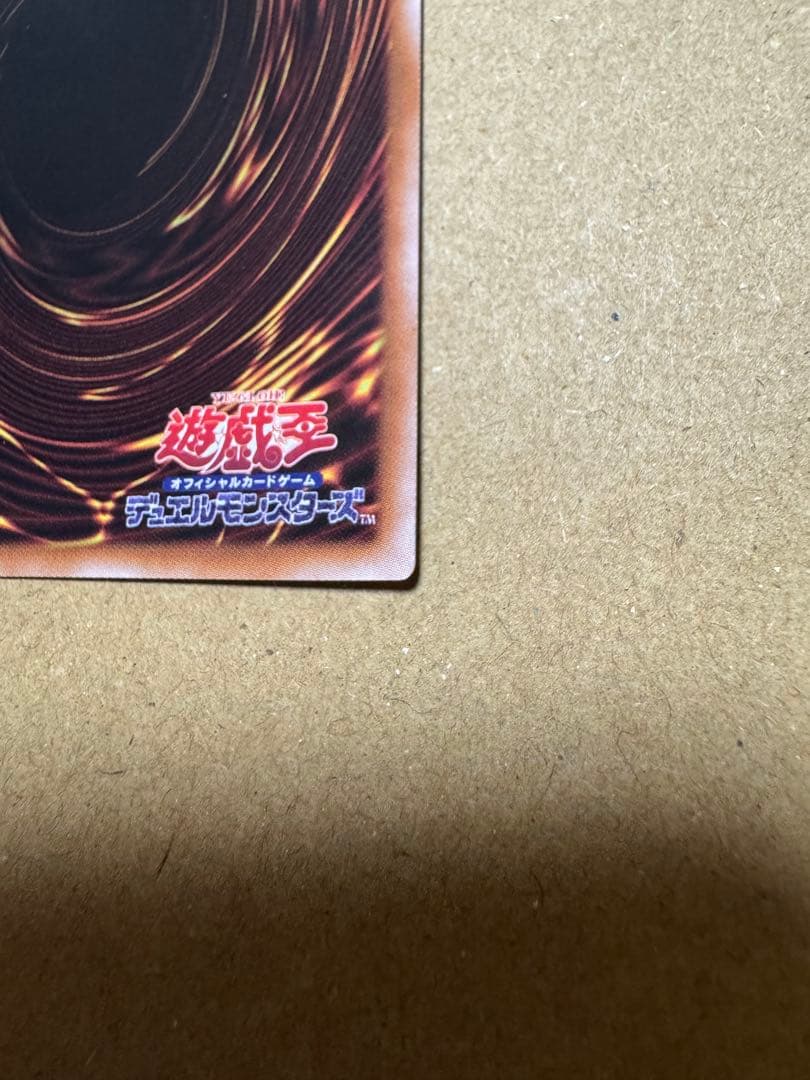 本日限りの値下げ　誇りと魂の龍【マグネットローダー付き】INFO-JP000